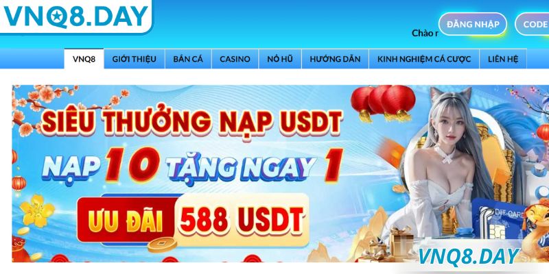 Giới thiệu VNQ8 với những thông tin khái quát 