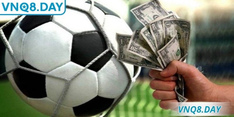 Kèo chấp nửa trái là gì? Hiểu đúng nguyên tắc để nâng cao cơ hội chiến thắng