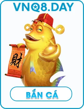 Vnq8 Xtva 🎖️【Vnq 8】| Link Truy Cập VNQ8 Mới Nhất Năm 2026 5 hinh ban ca